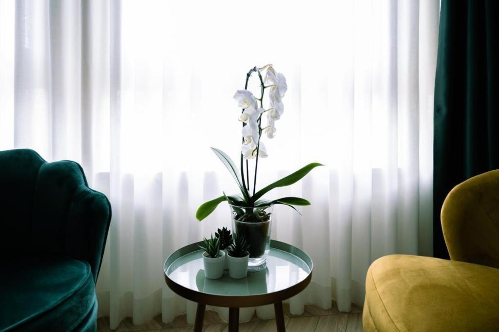 Guest house Salotto Boutique Pescara